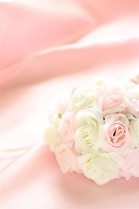 高清粉红玫瑰图片下载